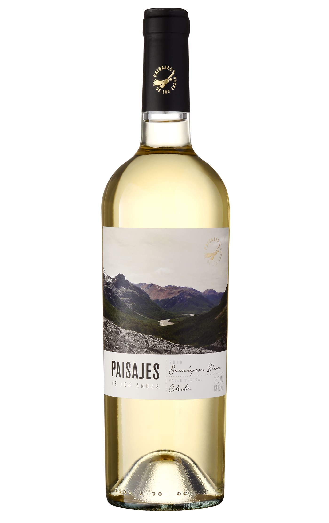 Paisajes De Los Andes Sauvignon Blanc 2019 Wine Co 
