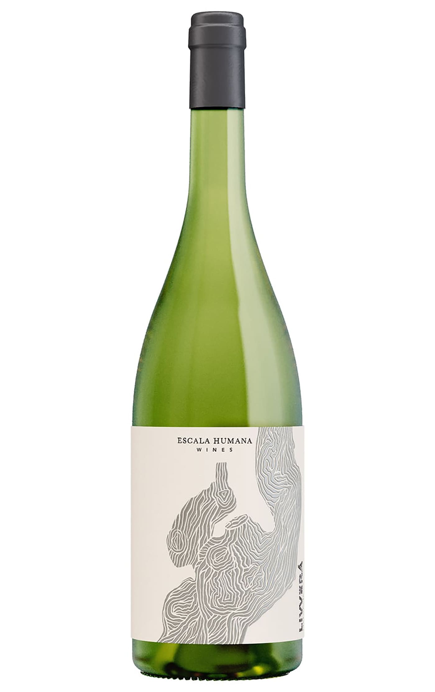 Livverá Malvasia Laranja 2024