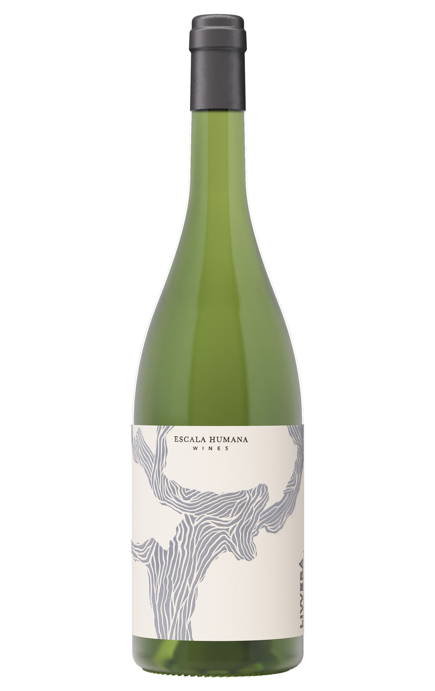 Livverá Chenin Blanc 2025