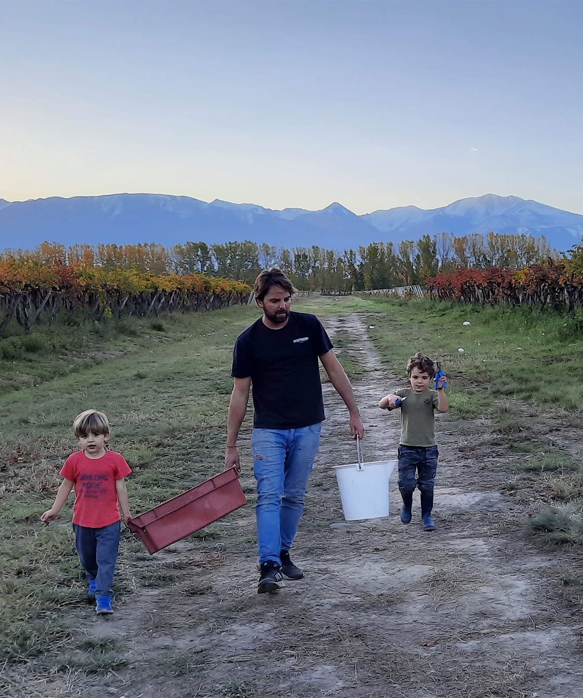 Livvera-Sangiovese